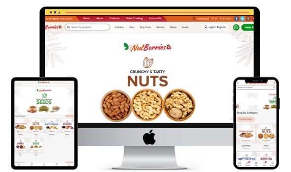 wp-global-template (17) nuts and dry food website